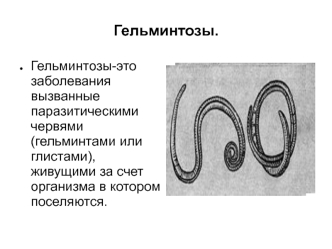 Гельминтозы. Классификация