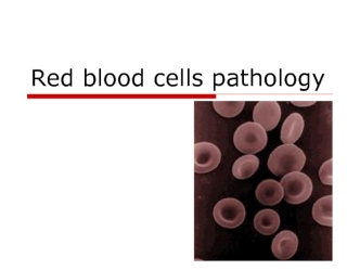 Red blood cells pathology. (Subject 10)