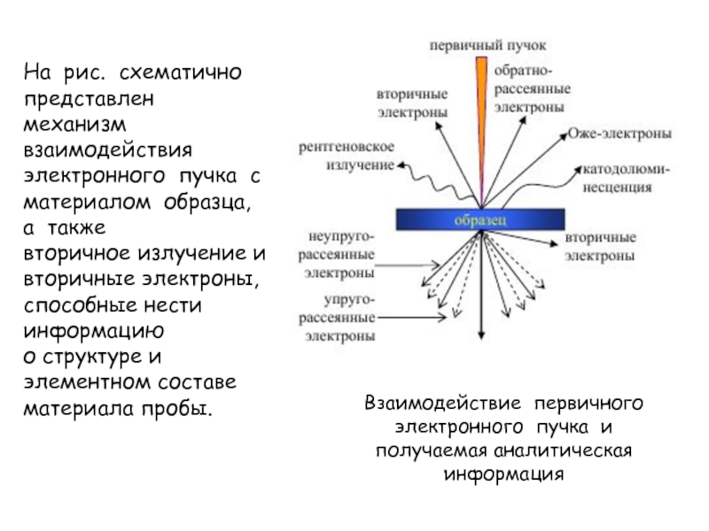 На экране телевизора изображение получается с помощью пучка электронов какое поле можно обнаружить в