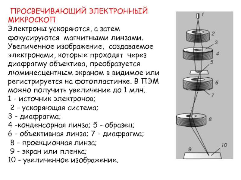 Просвечивающая электронная микроскопия. Просвечивающий электронный микроскоп принцип действия. Принцип действия электронной микроскопии. Просвечивающая электронная микроскопия принцип.