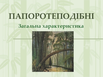 Папоротеподібні. Загальна характеристика