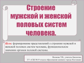 Строение и функции мужской и женской половых систем человека