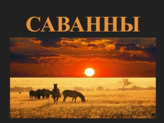 Саванны. Географическое положение