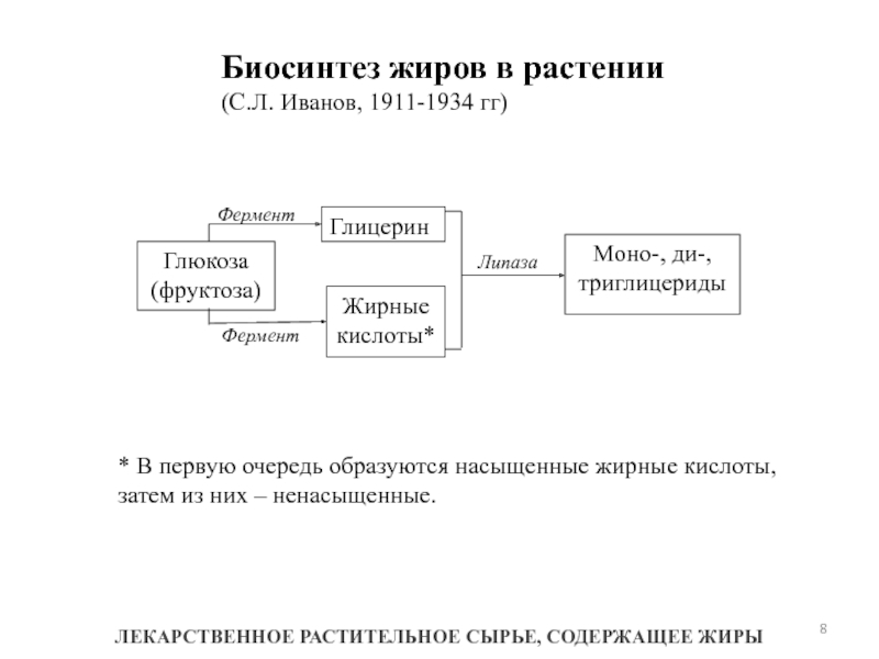 Биосинтез углеводов в организме проект