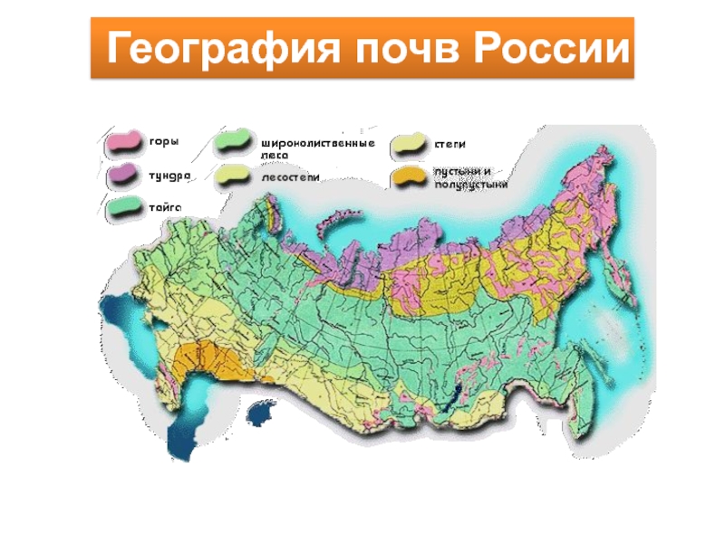 Карта плодородности почв россии