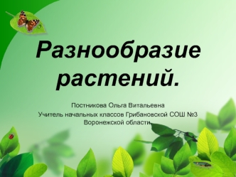 Разнообразие растений