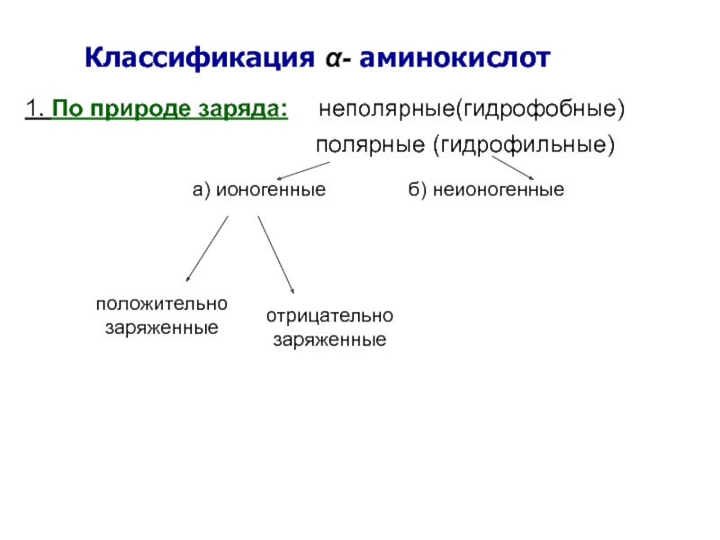 Природа заряда. Классификация аминокислот Полярные и неполярные. Классификация белков и аминокислот. Ионогенные аминокислоты. Классификация белков по заряду.