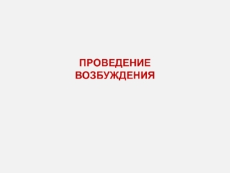 Проведение возбуждения. Нервные волокна