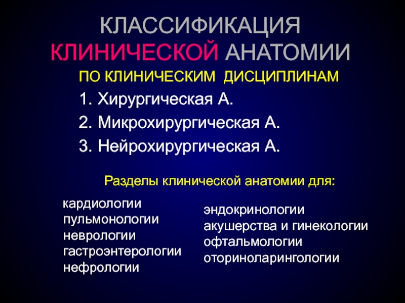 Основы клинической анатомии