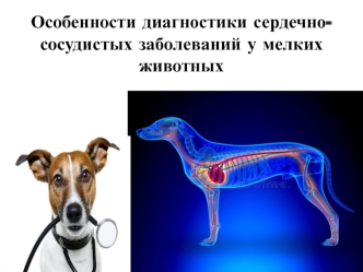 Особенности диагностики сердечно-сосудистых заболеваний у мелких животных. Ветеринарная клиническая диагностика