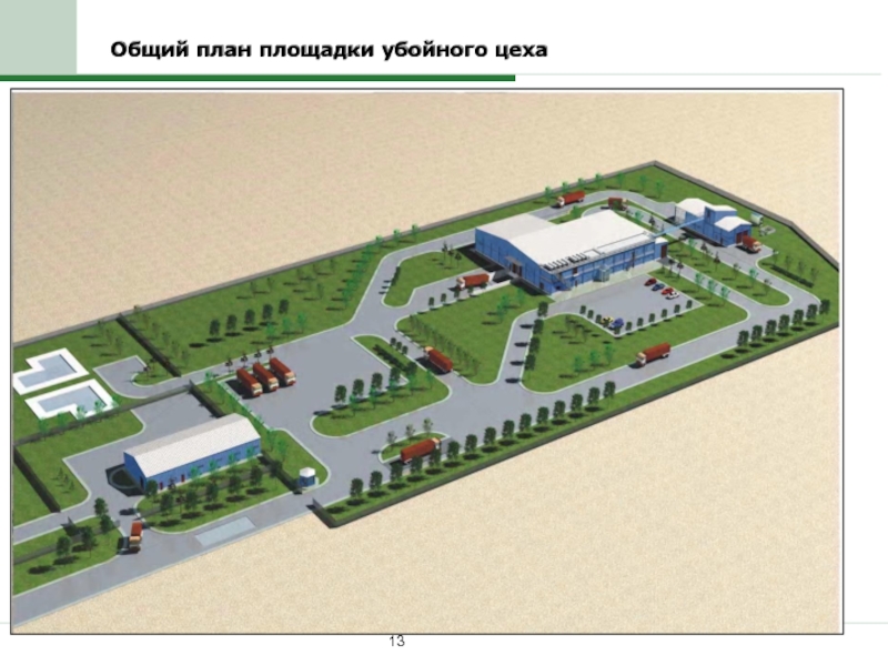 Бизнес план по переработке мяса