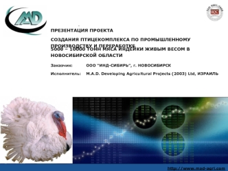 Создание птицекомплекса по промышленному производству и переработке мяса индейки в Новосибирской области