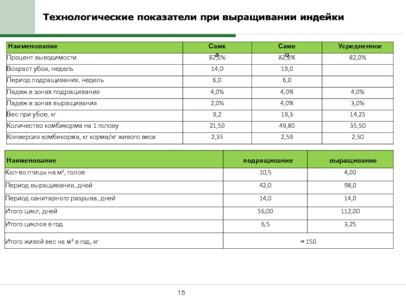 Бизнес план по выращиванию индейки