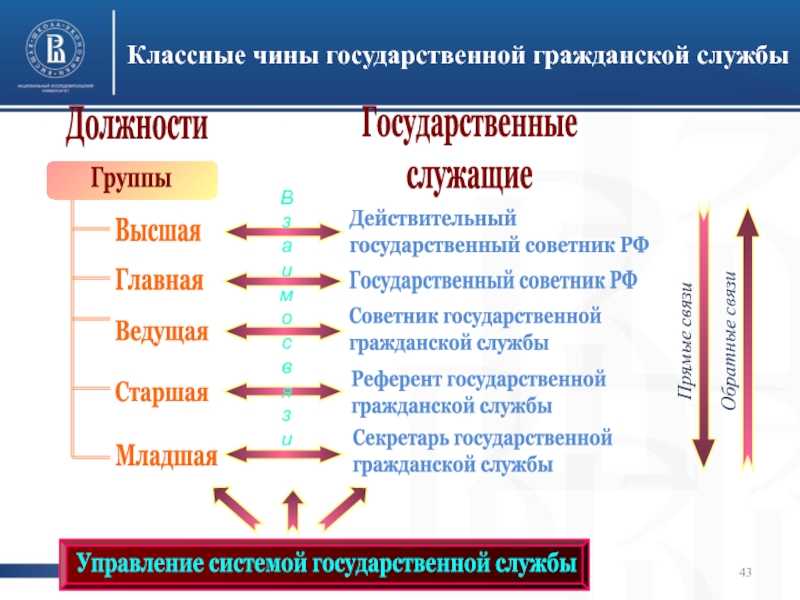 Группы должностей государственной гражданской службы. Классные чины. Чины государственной гражданской службы. Классные чины гражданской службы. Должности и чины государственной гражданской службы.