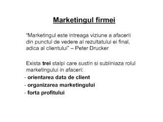 Marketingul firmei