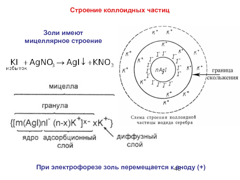 Схема строения коллоидной частицы с двойным электрическим слоем