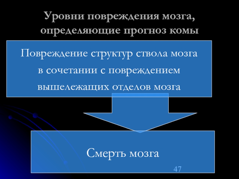 Уровни мозга. Уровни повреждения.