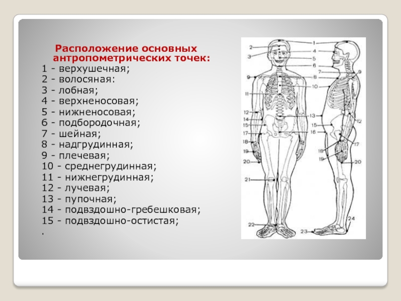 Антропометрическая карта студента