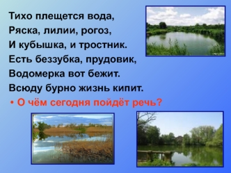 Жизнь пресного водоема