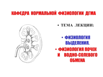 Физиология выделения. Физиология почек и водно-солевого обмена