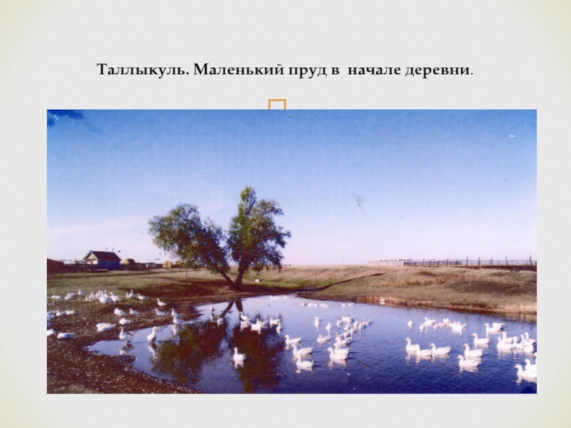 Таллыкуль. Таллыкуль озеро или пруд. Когда появилась Юмадыбашево (село). Карта деревни Юмадыбашево.