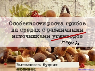 Особенности роста грибов на средах с различными источниками углеводов