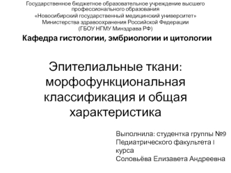 Эпителиальные ткани: морфофункциональная классификация и общая характеристика