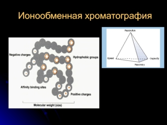 Ионообменная хроматография