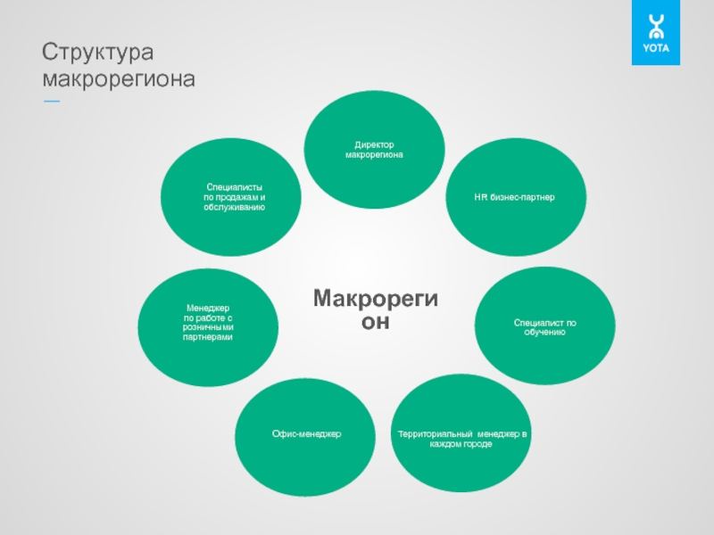 Структура блоков. Структура коммерческого блока. Коммерческий блок компании. Руководитель проектов. Макрорегион визитка. Территориальный менеджер какая это отрасль.