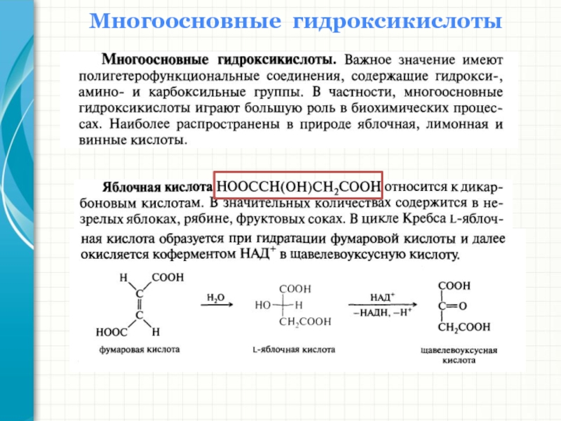 Молочная кислота значение. Гидроксикислоты молочная кислота. Фумаровая кислота соединение формула. Гидроксикислоты медико биологическое значение. Многоосновные оксикислоты.