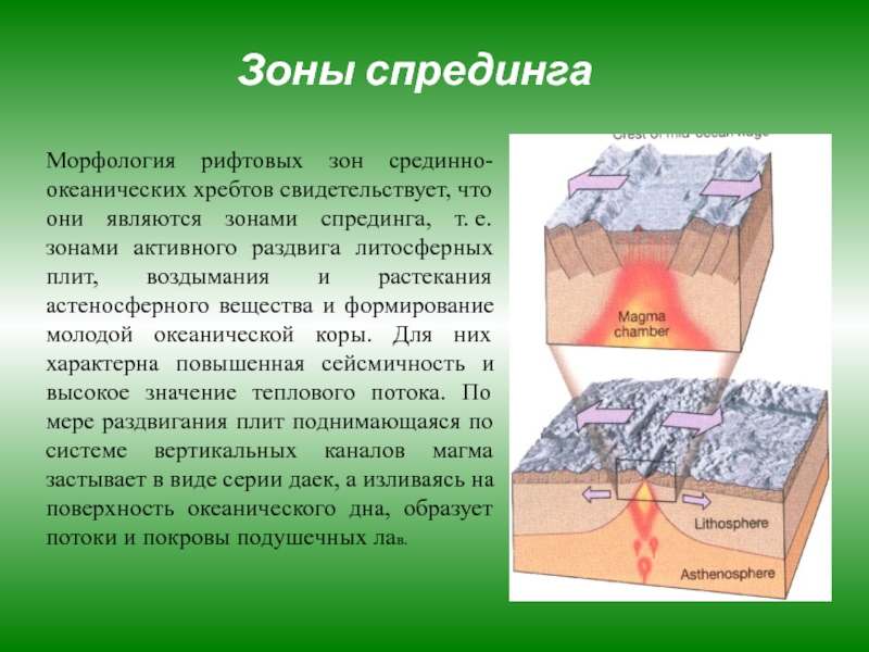 Зона спрединга карта