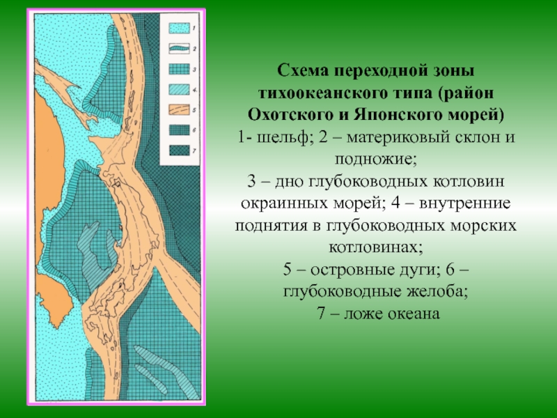 Тихоокеанская зона. Западно-Тихоокеанской переходной зоны. Схема Тихоокеанского типа. Переходная зона в море это. Западно Тихоокеанский Тип.