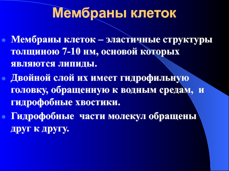 Эластичные структуры. Функции гидрофильных головок в клеточной мембране. Гидрофобную основу клеточной мембраны составляют. Методы выявления элементов эластических структур.