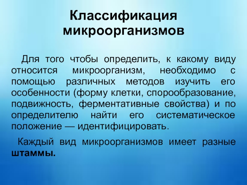 Классификация микроорганизмов морфология микроорганизмов презентация