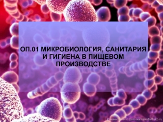 Классификация микроорганизмов. Морфология и физиология основных групп микроорганизмов