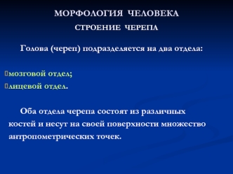 Морфология человека. Строение черепа