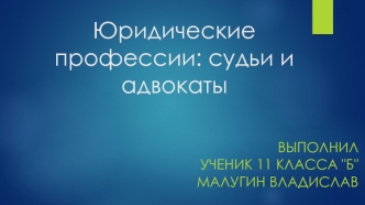 Юридические профессии. Судьи и адвокаты