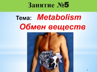 Metabolism. Обмен веществ