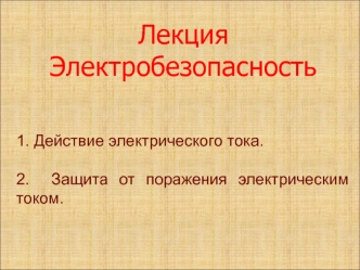 Действие электрического тока. Защита от поражения электрическим током