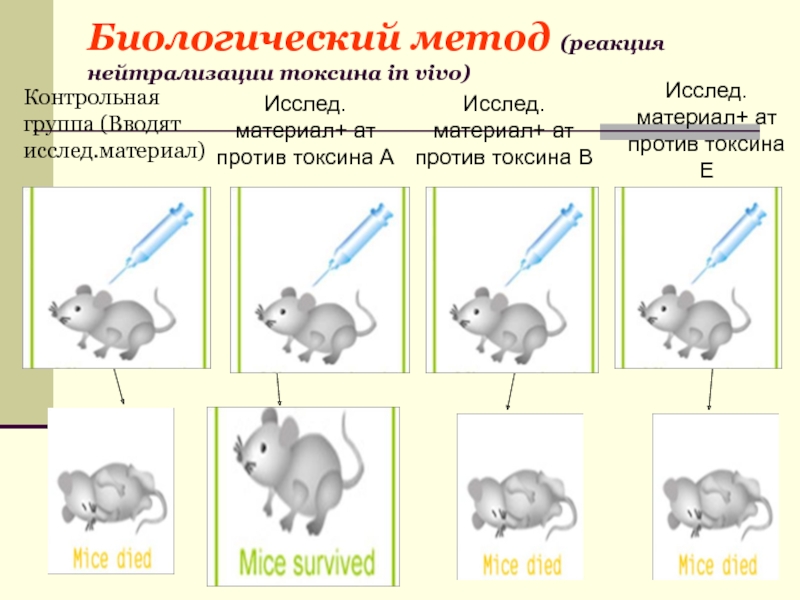 Реакция нейтрализации схема