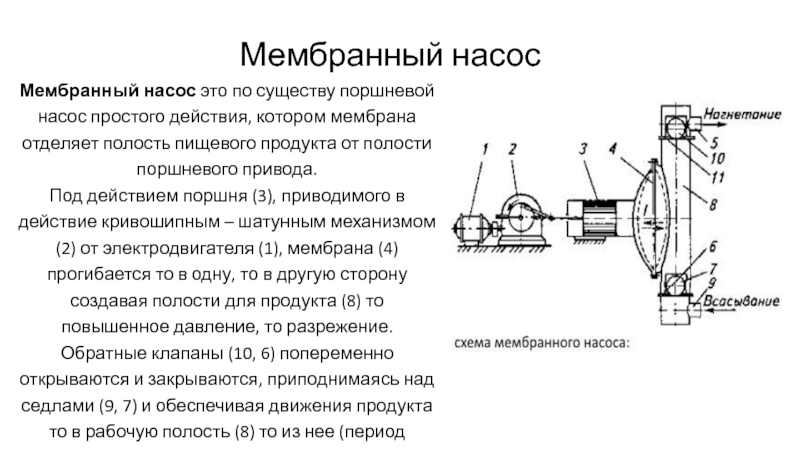 Чем отличается насос. Мембранный вакуумный насос схема. Диафрагмовый мембранный насос схема. Мембранный насос принцип работы и устройство. Мембранный насос конструкция схема.