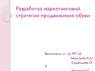 Разработка маркетинговой стратегии продвижения обуви