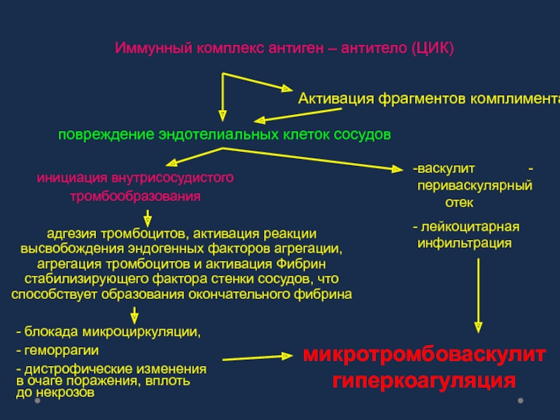 Иммунные образования