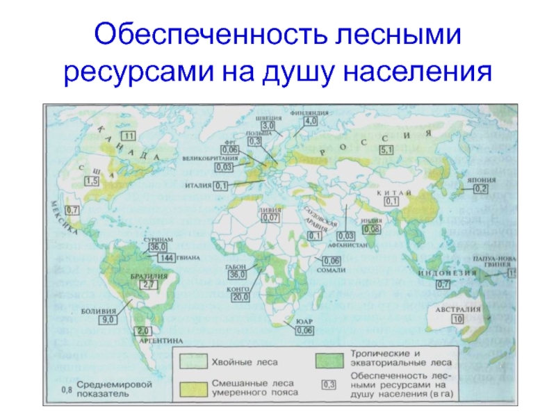 Преимущества и недостатки обеспеченности россии природными ресурсами. Карта обеспеченности лесными ресурсами. Обеспеченность Южной Азии лесными ресурсами. Обеспеченности лесными ресурсами Афганистан.