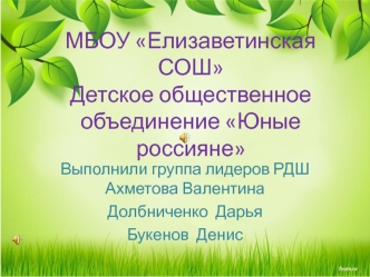 МБОУ Елизаветинская СОШ. Детское общественное объединение Юные россияне