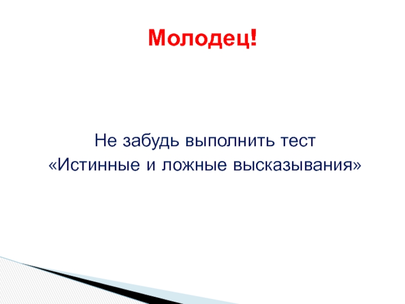 Составь по 3 истинных и ложных высказывания