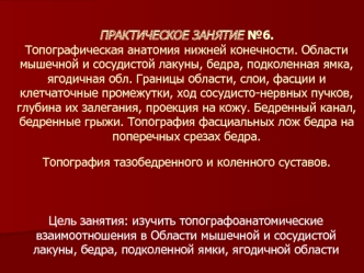 Топографическая анатомия нижней конечности. Области мышечной и сосудистой лакуны, бедра, подколенная ямка