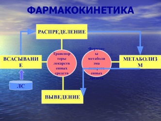 Фармакокинетика