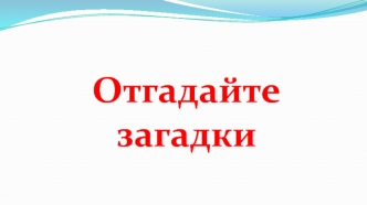 Распределение суши и воды на Земле