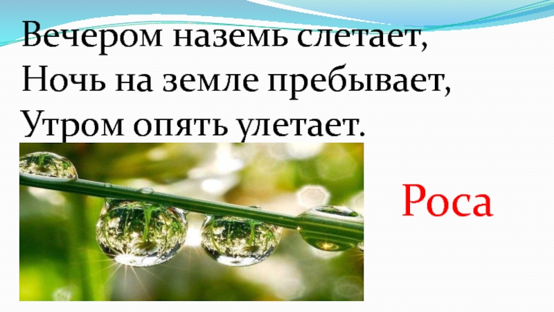 Пребывали на земле. Вечером наземь слетает ночь на земле пребывает утром опять улетает. Вечером на землю слетает ночь на земле пребывает утром опять улетает. Вечер роса. Снова утро снова утро на земле.